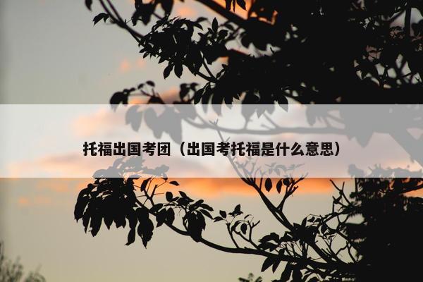 托福出国考团（出国考托福是什么意思）