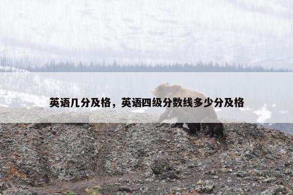 英语几分及格，英语四级分数线多少分及格