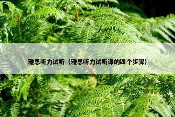 雅思听力试听（雅思听力试听课的四个步骤）