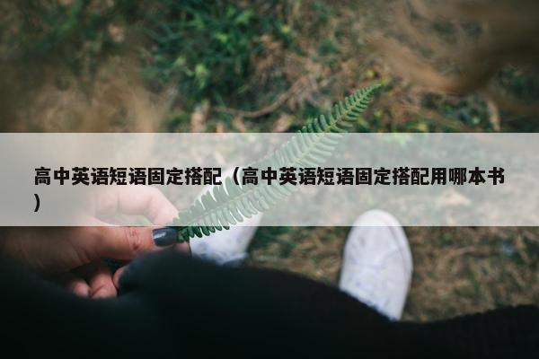 高中英语短语固定搭配（高中英语短语固定搭配用哪本书）