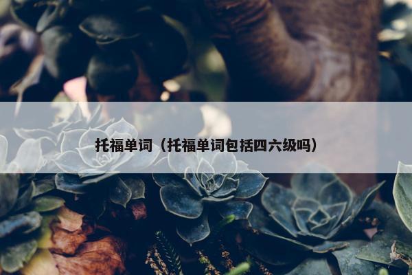 托福单词（托福单词包括四六级吗）