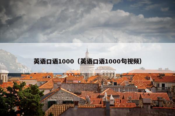 英语口语1000（英语口语1000句视频）