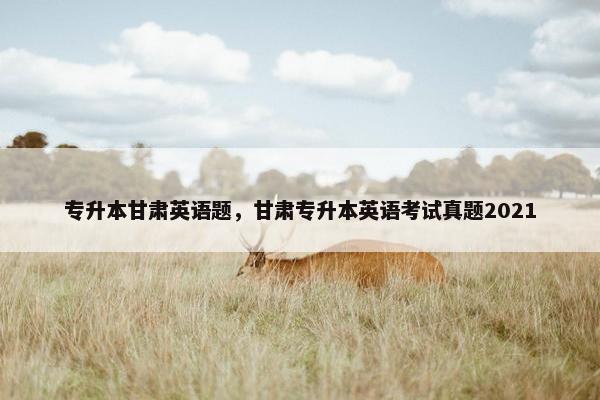 专升本甘肃英语题，甘肃专升本英语考试真题2021