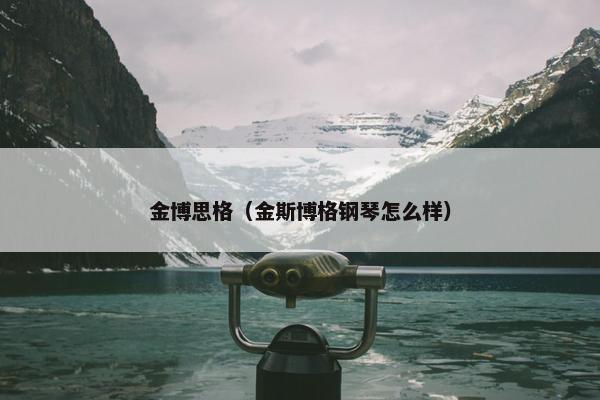 金博思格（金斯博格钢琴怎么样）