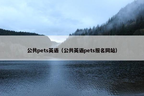 公共pets英语（公共英语pets报名网站）