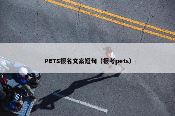 PETS报名文案短句（报考pets）