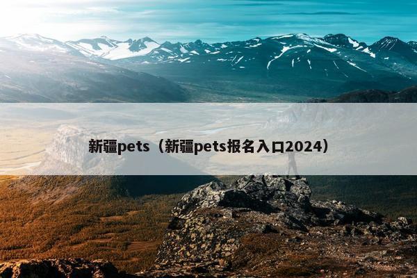 新疆pets（新疆pets报名入口2024）