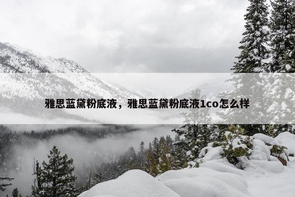 雅思蓝黛粉底液，雅思蓝黛粉底液1co怎么样