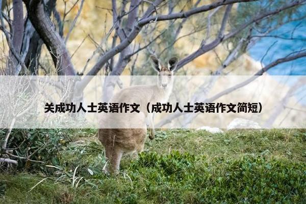 关成功人士英语作文（成功人士英语作文简短）