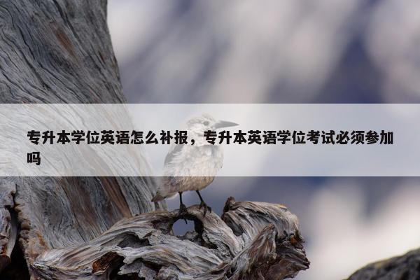 专升本学位英语怎么补报，专升本英语学位考试必须参加吗