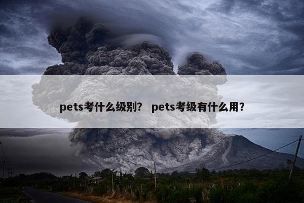 pets考什么级别？ pets考级有什么用？
