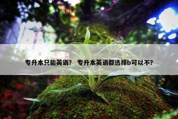 专升本只能英语？ 专升本英语都选择b可以不？