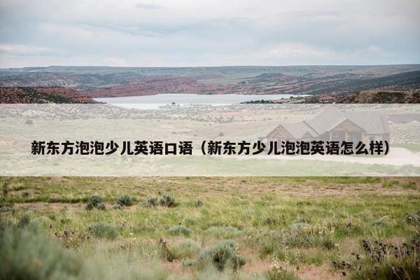 新东方泡泡少儿英语口语（新东方少儿泡泡英语怎么样）