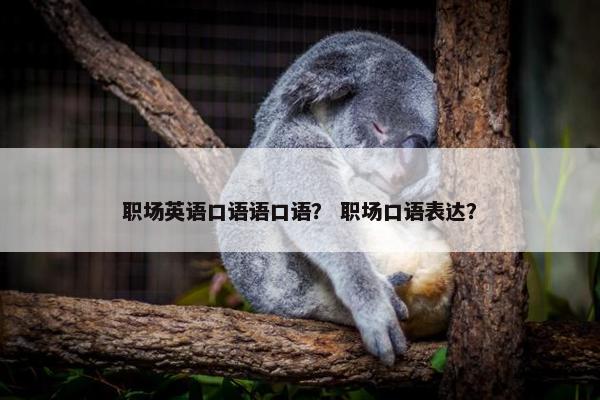 职场英语口语语口语？ 职场口语表达？