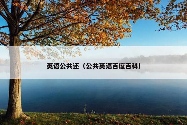 英语公共还（公共英语百度百科）