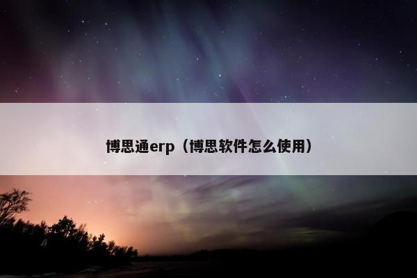 博思通erp（博思软件怎么使用）