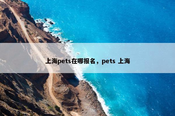 上海pets在哪报名，pets 上海