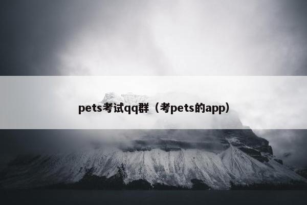 pets考试qq群（考pets的app）