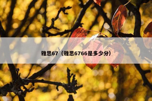 雅思67（雅思6766是多少分）
