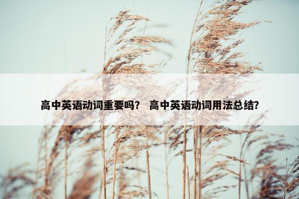 高中英语动词重要吗？ 高中英语动词用法总结？
