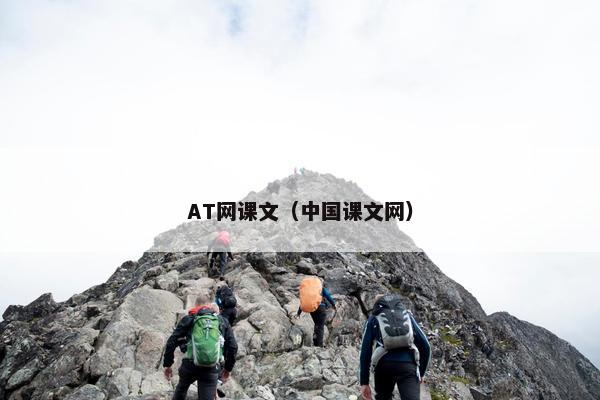 AT网课文（中国课文网）