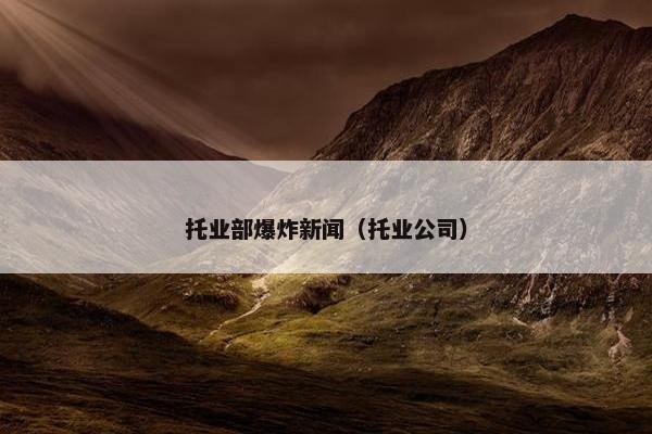 托业部爆炸新闻（托业公司）