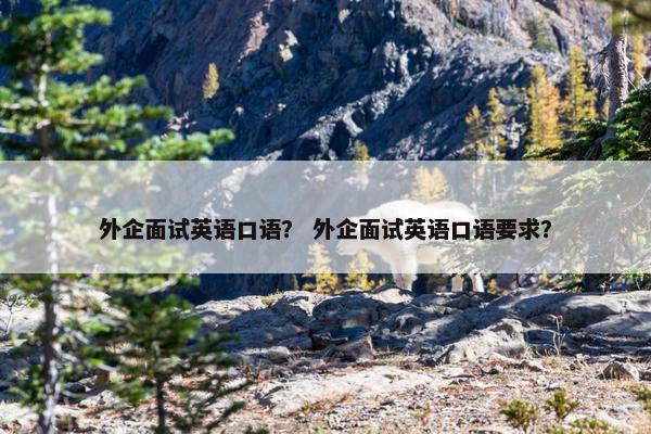 外企面试英语口语？ 外企面试英语口语要求？