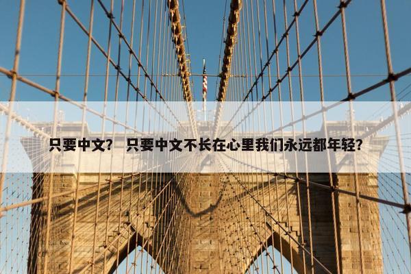 只要中文？ 只要中文不长在心里我们永远都年轻？