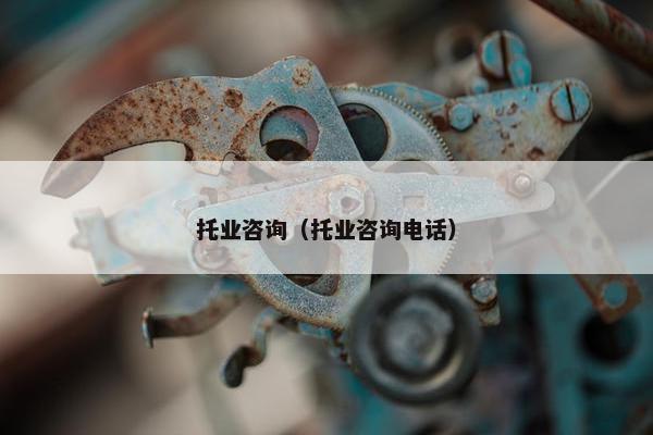 托业咨询（托业咨询电话）