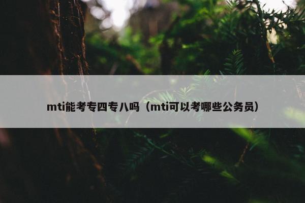 mti能考专四专八吗（mti可以考哪些公务员）