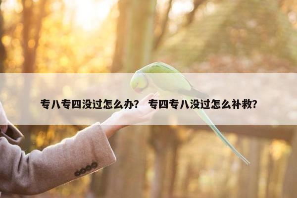 专八专四没过怎么办？ 专四专八没过怎么补救？