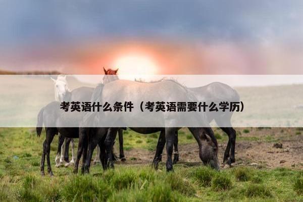 考英语什么条件（考英语需要什么学历）