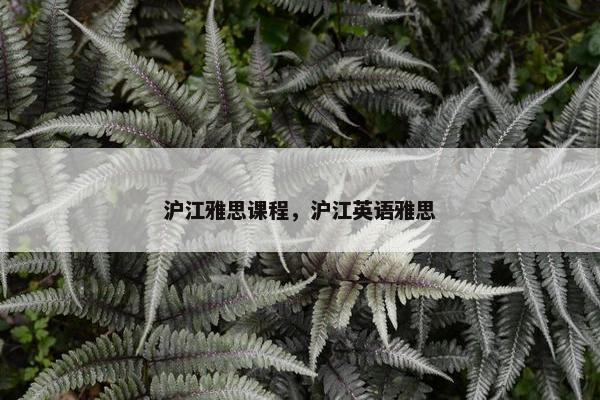 沪江雅思课程，沪江英语雅思