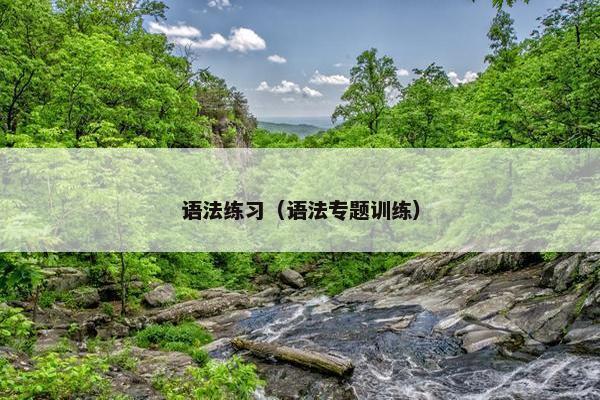 语法练习（语法专题训练）