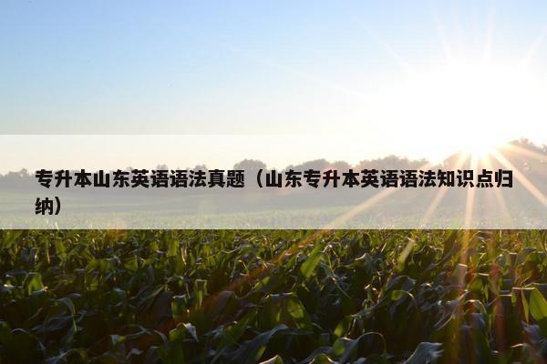 专升本山东英语语法真题（山东专升本英语语法知识点归纳）