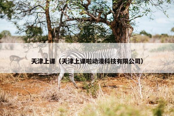 天津上课（天津上课啦动漫科技有限公司）