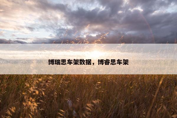 博瑞思车架数据，博睿思车架