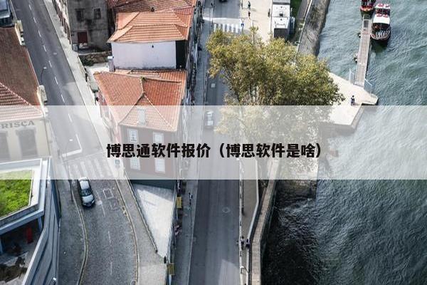 博思通软件报价（博思软件是啥）