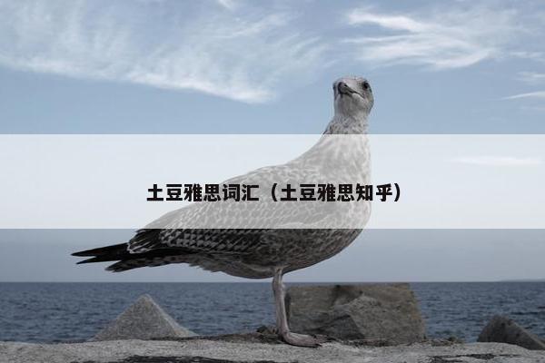 土豆雅思词汇（土豆雅思知乎）