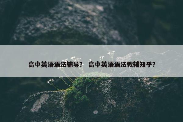 高中英语语法辅导？ 高中英语语法教辅知乎？
