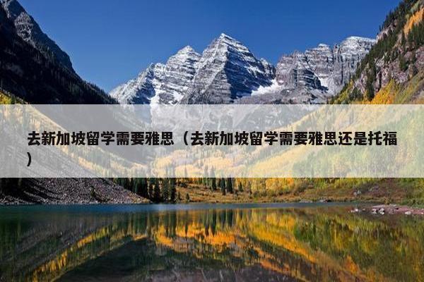 去新加坡留学需要雅思（去新加坡留学需要雅思还是托福）