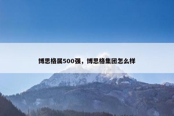 博思格属500强，博思格集团怎么样