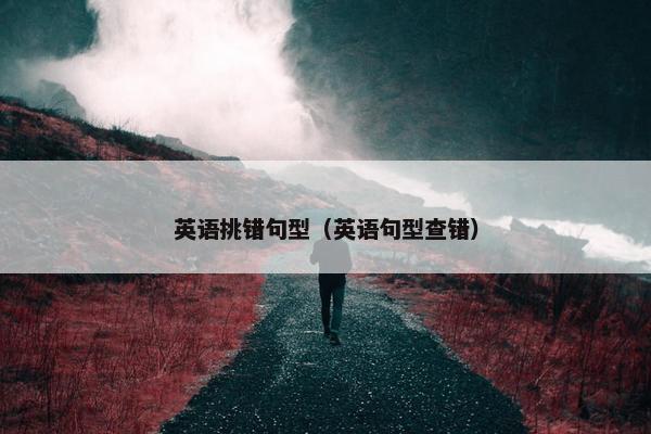 英语挑错句型（英语句型查错）
