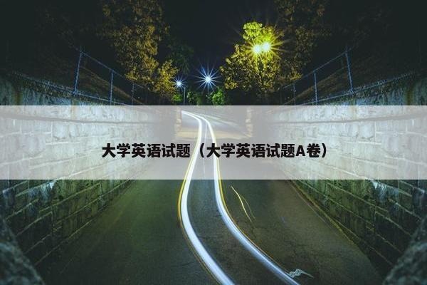 大学英语试题（大学英语试题A卷）