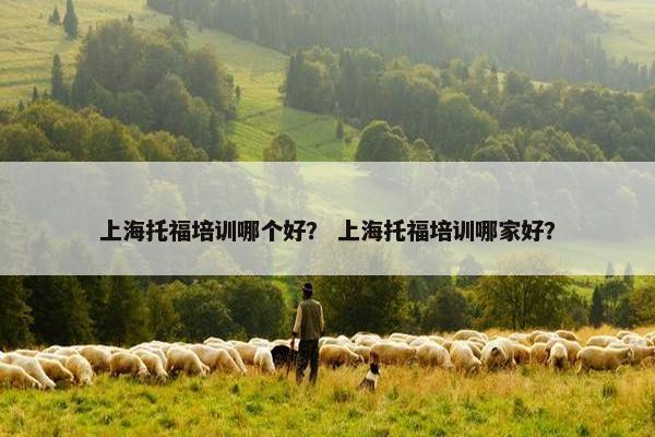 上海托福培训哪个好？ 上海托福培训哪家好？