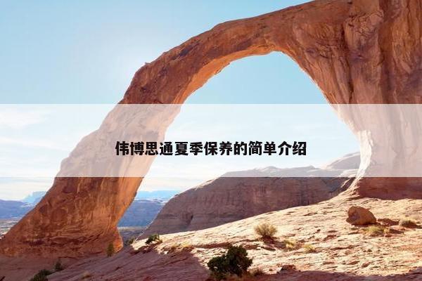 伟博思通夏季保养的简单介绍
