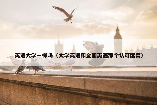 英语大学一样吗（大学英语和全国英语那个认可度高）