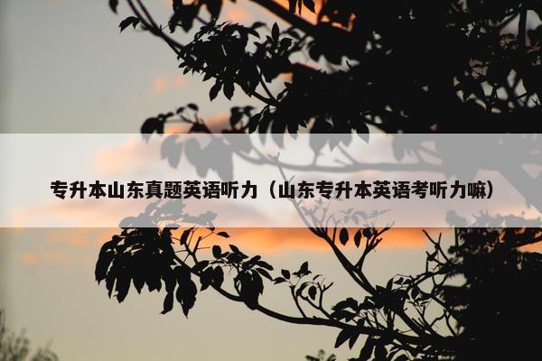 专升本山东真题英语听力（山东专升本英语考听力嘛）