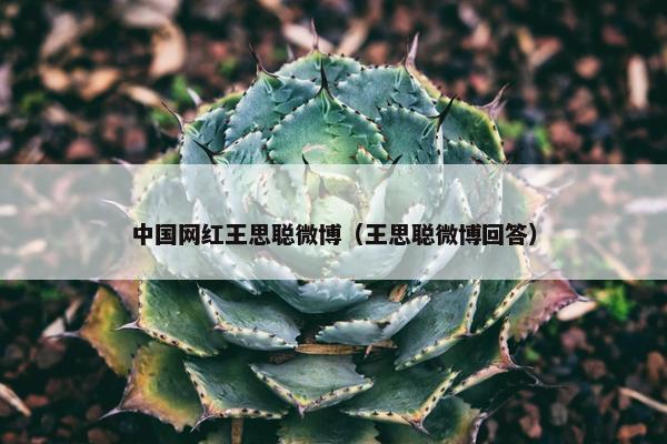 中国网红王思聪微博（王思聪微博回答）
