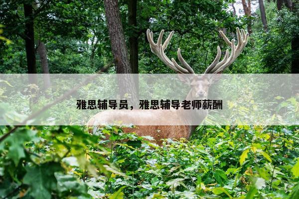 雅思辅导员，雅思辅导老师薪酬